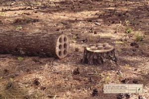 campagne print by Publicis Conseil pour Envol Vert qui défend la protection de l'environnement 