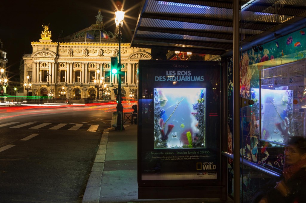 Un abribus d'un genre nouveau