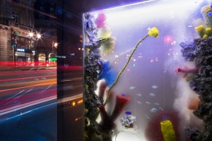 une idée originale pour fait la promotion du programme les rois des aquarium