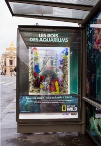 Ubi bene installe de vrais aquarium dans les abribus parisien pour faire la promotion du programme de nat geo wild