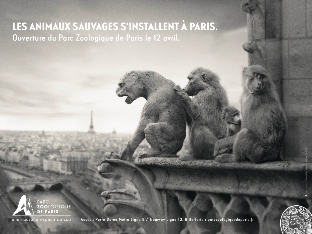 les singes se mélangent aux gargouillent avec Publicis