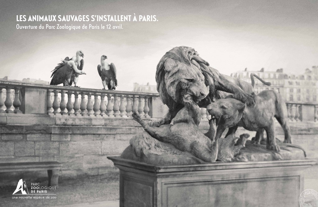 Les vautours guettent le combat des animaux avec Publicis