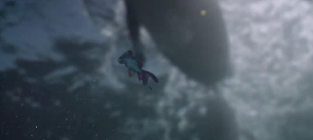 le poisson fini sa quête dans l'océan