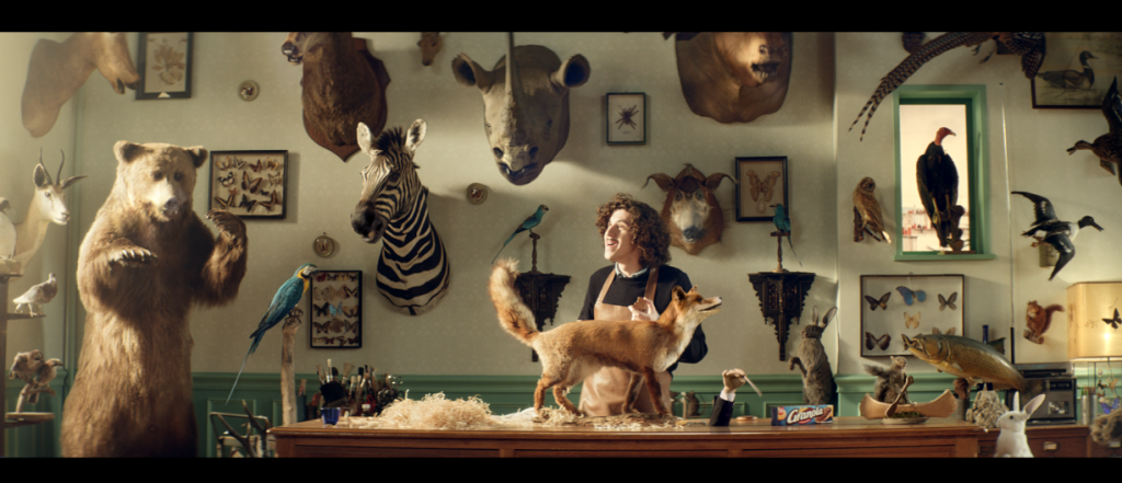 un taxidermiste se laisse surprendre par les biscuits granola