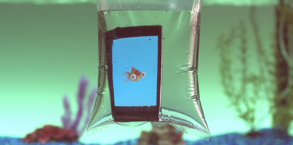 le poisson suffoque quand il est hors de l'eau