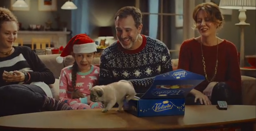 la famille fond devant ces bébés animaux 