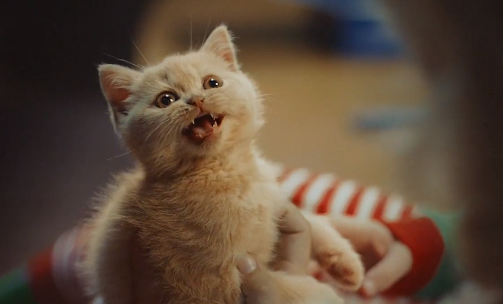 une jolie métaphore des biscuits mcvitie's