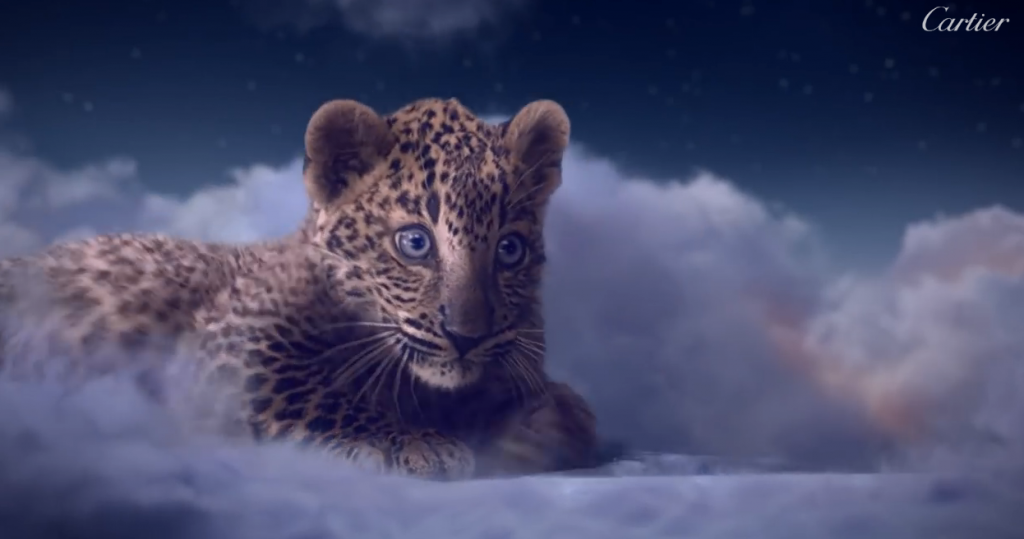 un bébé panthère tout mignon qui fait craquer 