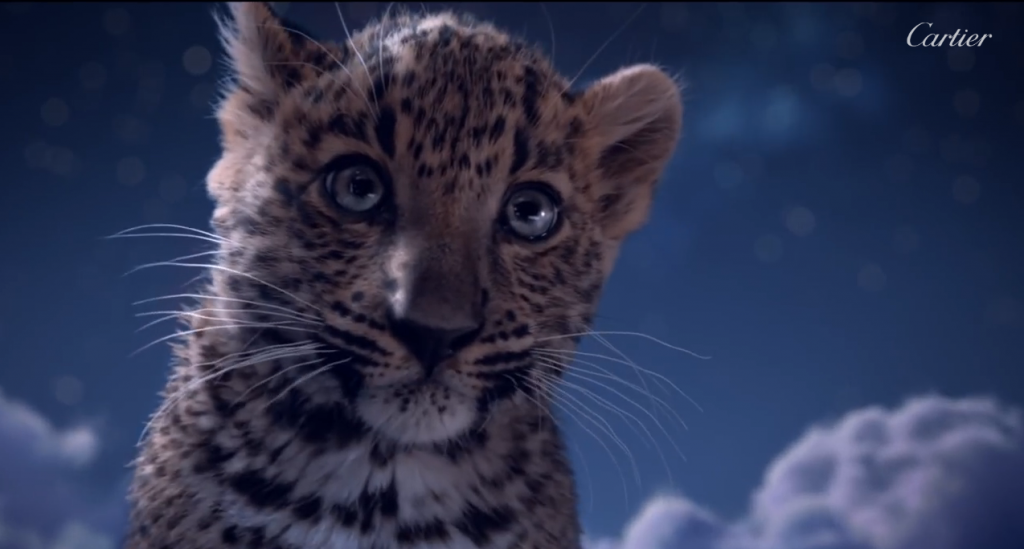 la panthère, symbole de cartier