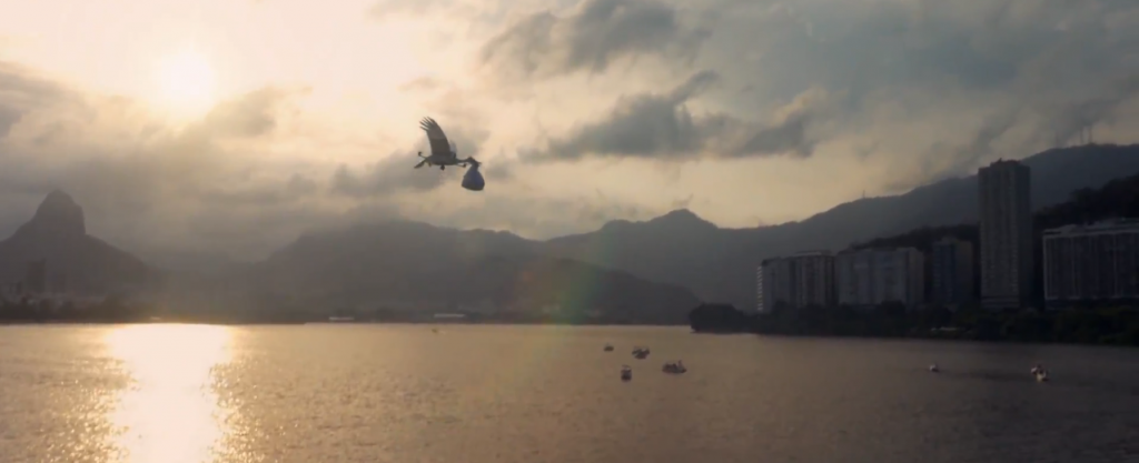 dove a livré des produits aux femmes enceintes et futures mamans aux Brésil