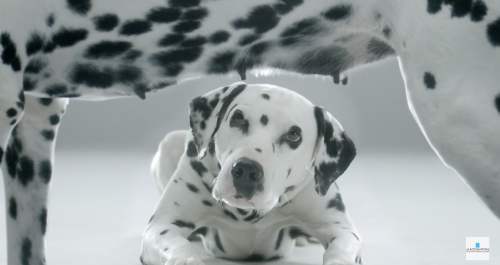 devenez des skin checkers en surveillant les grains de beauté de ceux que vous aimez