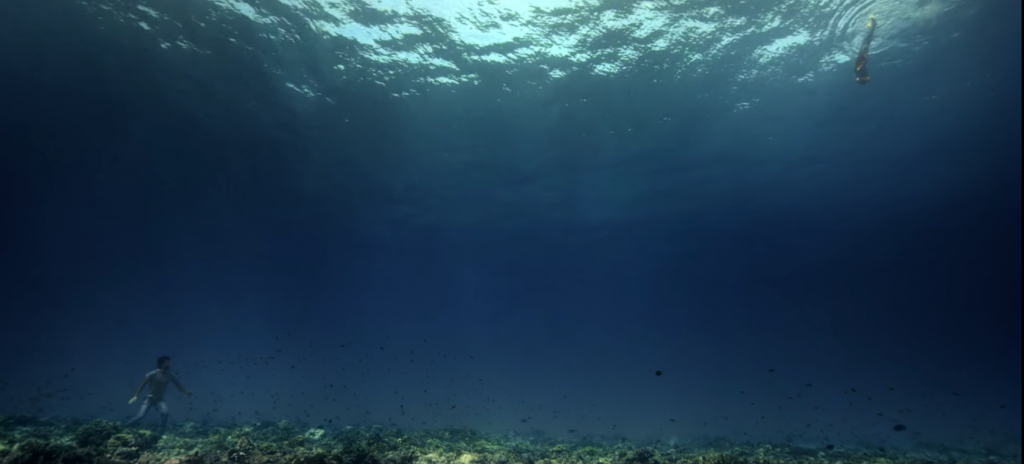 Des images à couper le souffle par leur beauté qui nous font découvrir les fonds marin de la Polynésie