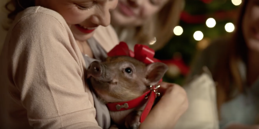 Canal plus nous fait réfléchir avant d'offrir des cadeaux de noël