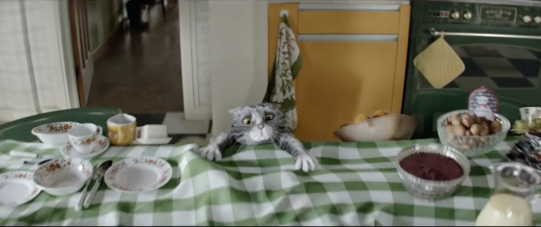 Sainsbury's met en scène Mog, un chat très maladroit 