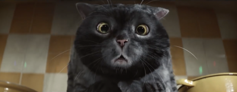 La maladresse de Mog, a ruiné la maison et Noël mais a aussi sauvé la famille