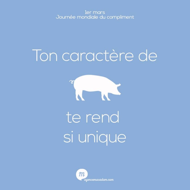 Ton caractère de cochon te rend unique... Un compliment à offrir à ses proches avec l'agence Macadam