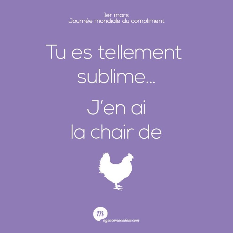 Tu es tellement sublime... J'en ai la chair de poule avec l'agence Macadam pour la journée du compliment