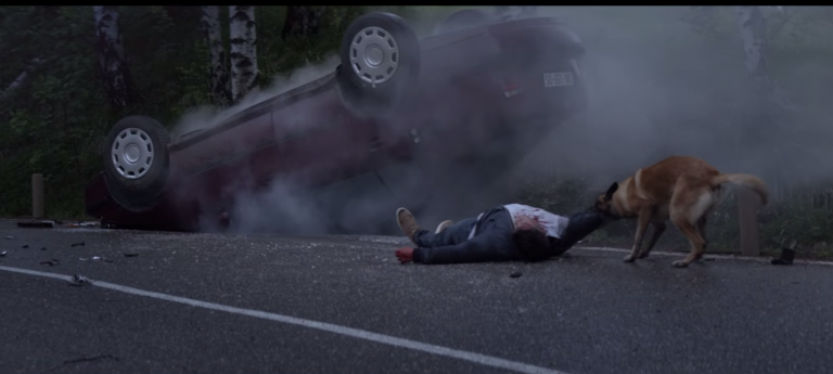 Un film qui montre que le chien est prêt à braver tous les danger pour sauver son maître et ce malgré ses actes et sa cruauté