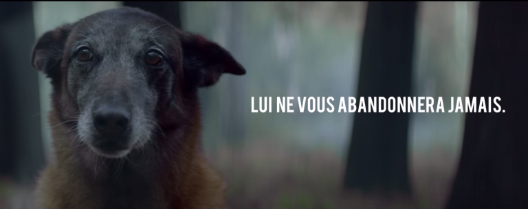 Buzzman met en scène le paradoxe entre l'amour inconditionnel de l'animal pour son maître face à la lâcheté de certains êtres humains