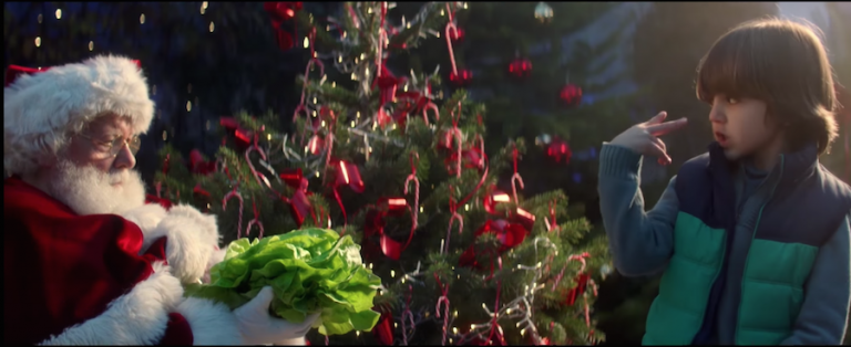 un petit garçon se donne pour mission de faire maigrir le Père Noël afin qu'il passe par la cheminée pour Noël