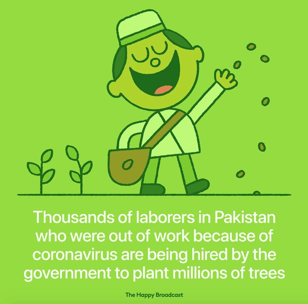 PLANTATION d'arbres au Pakistan
